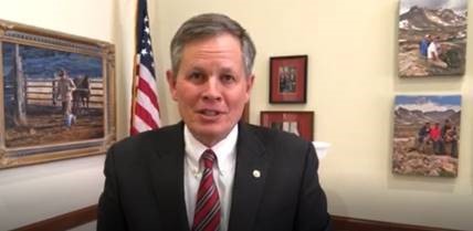 Daines PPP Fix